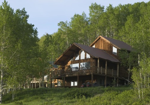 Pet-Friendly Rental Cabins in Middle Tennessee: An Expert's Guide